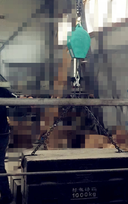 防墜器拉力測試現場.jpg 防墜器拉力測試現場.jpg